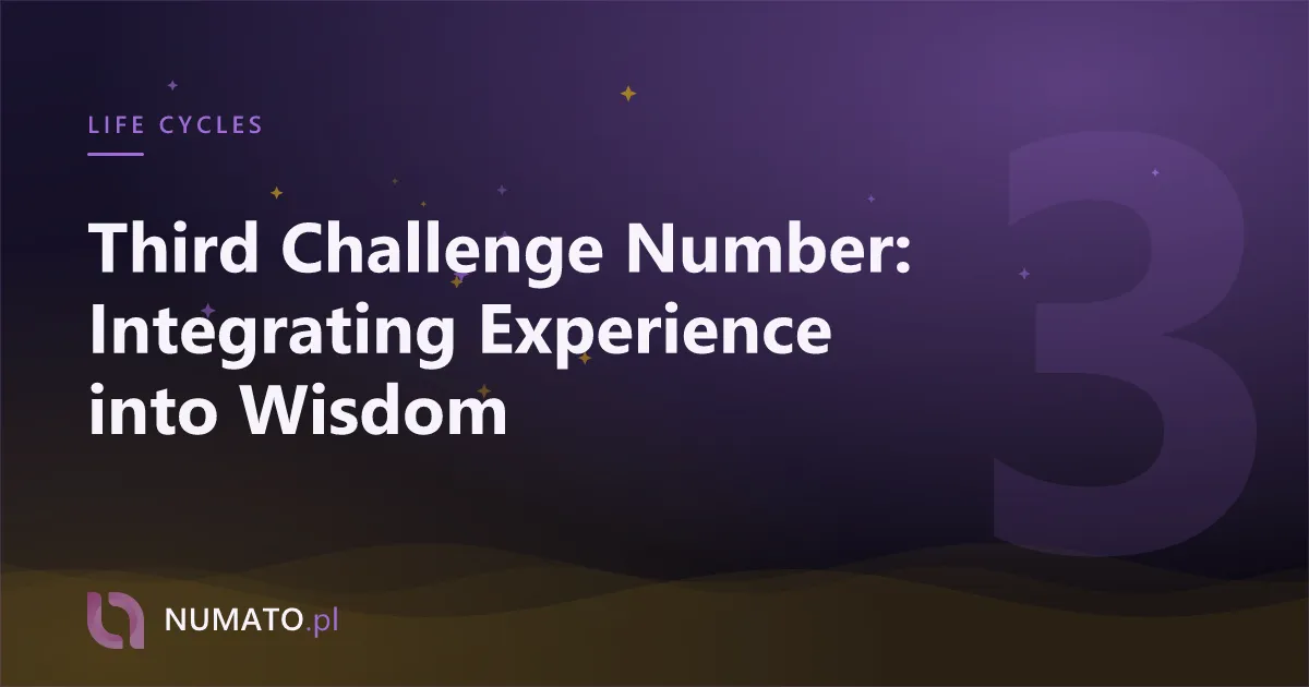 Third Challenge Number: Integrating Experience into Wisdom